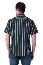 Green Stripes - Image 5