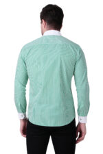Whiteleaf stripe - Image 3